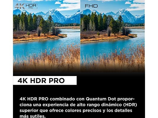 Qled TCL 65C655 65 4K Smart TV